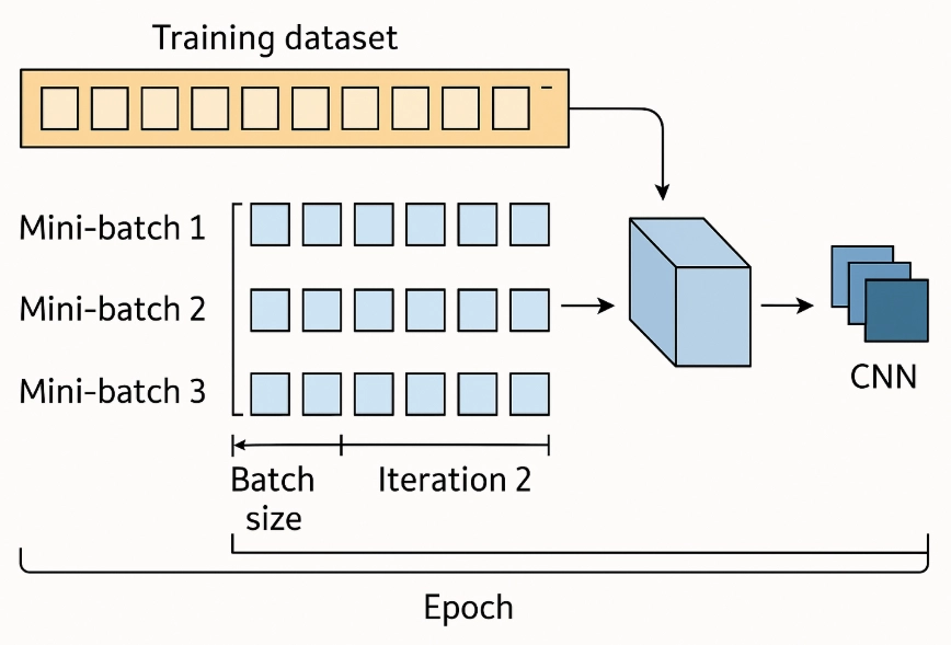 Batch Size