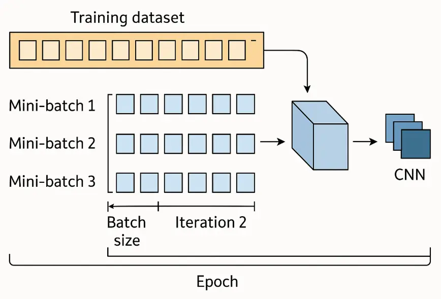 Batch Size